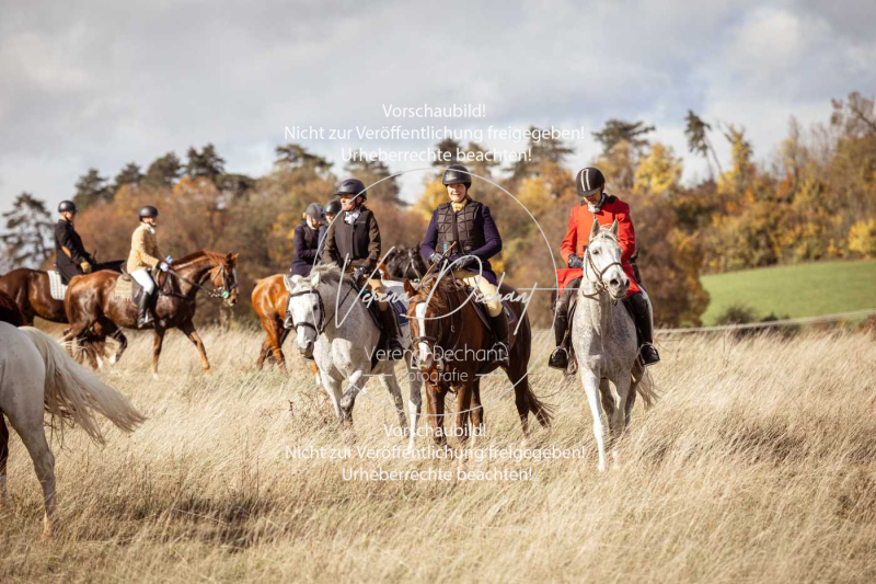 Schleppjagd_Harburg-274