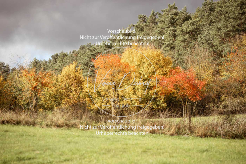 Schleppjagd_Harburg-278