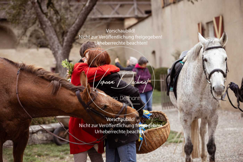 Schleppjagd_Harburg-283-2