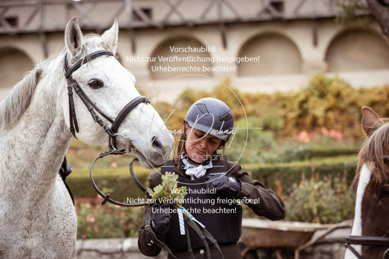 Schleppjagd_Harburg-291-2