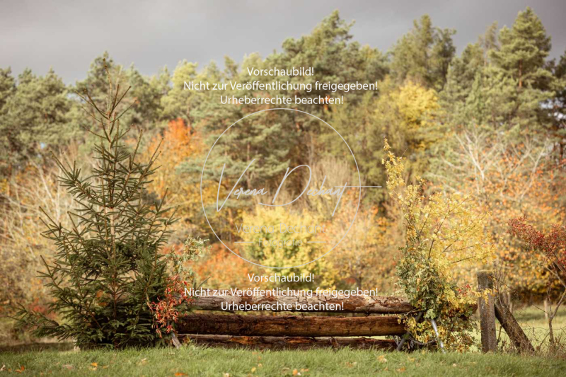 Schleppjagd_Harburg-291