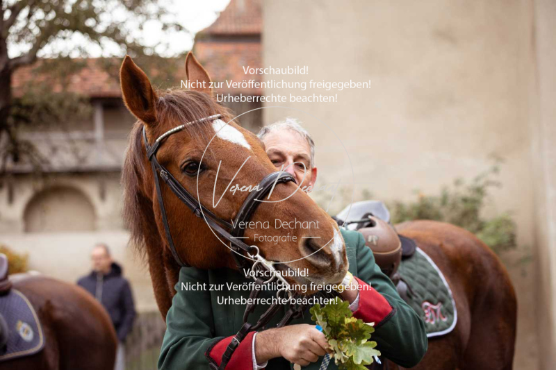 Schleppjagd_Harburg-295-2