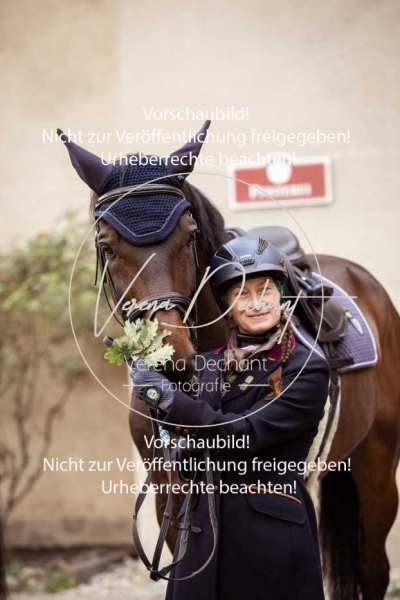 Schleppjagd_Harburg-305-2