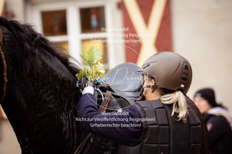 Schleppjagd_Harburg-307-2