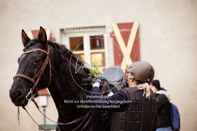 Schleppjagd_Harburg-308-2