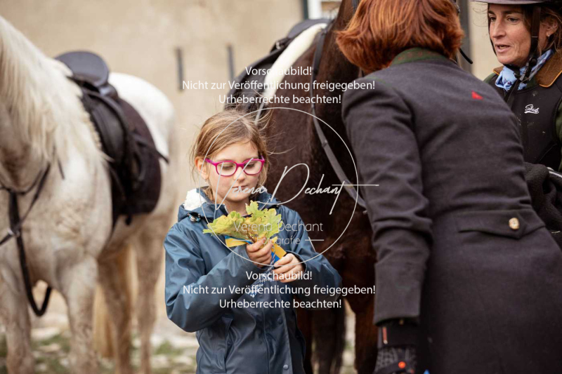 Schleppjagd_Harburg-309-2