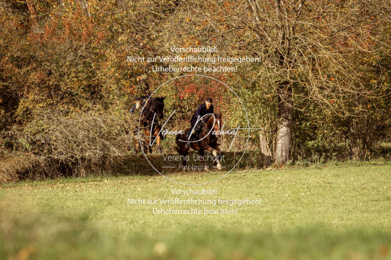 Schleppjagd_Harburg-314