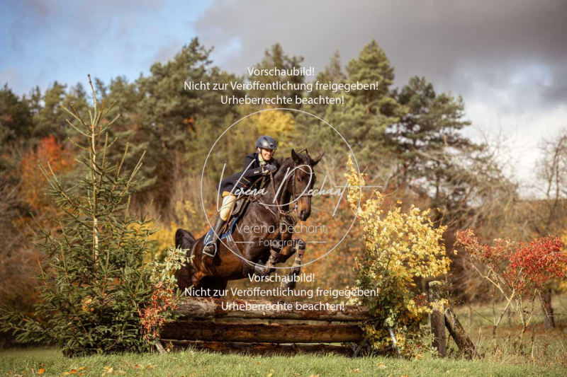 Schleppjagd_Harburg-326