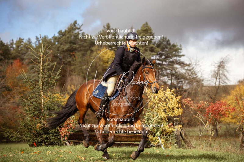 Schleppjagd_Harburg-332