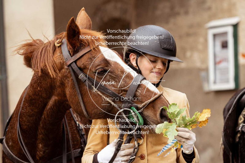 Schleppjagd_Harburg-334-2