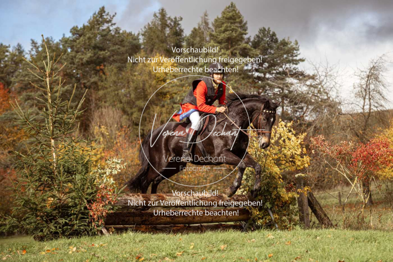 Schleppjagd_Harburg-340