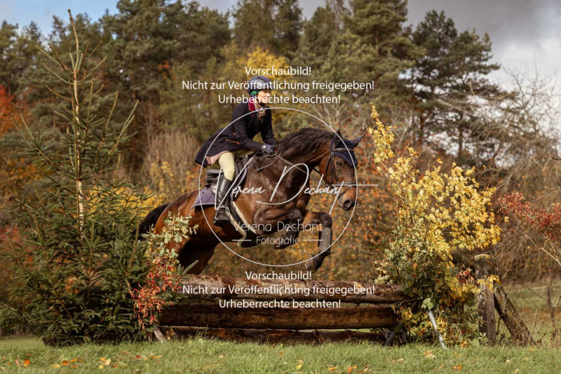 Schleppjagd_Harburg-347