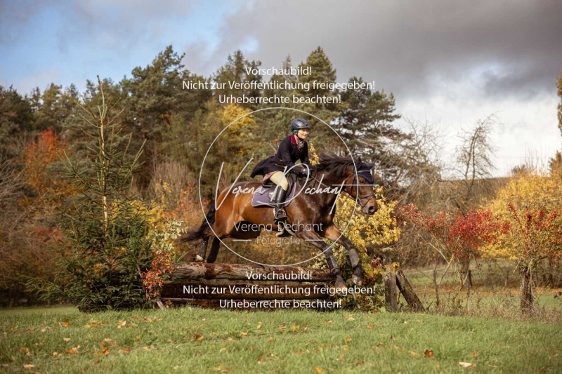 Schleppjagd_Harburg-348