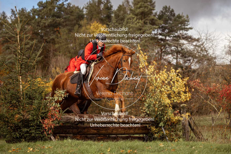 Schleppjagd_Harburg-351