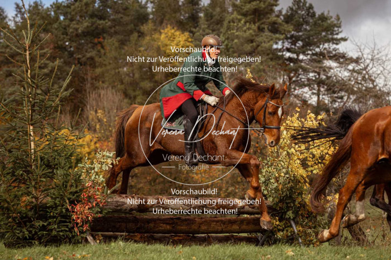 Schleppjagd_Harburg-354