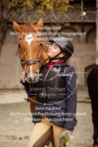 Schleppjagd_Harburg-359-2