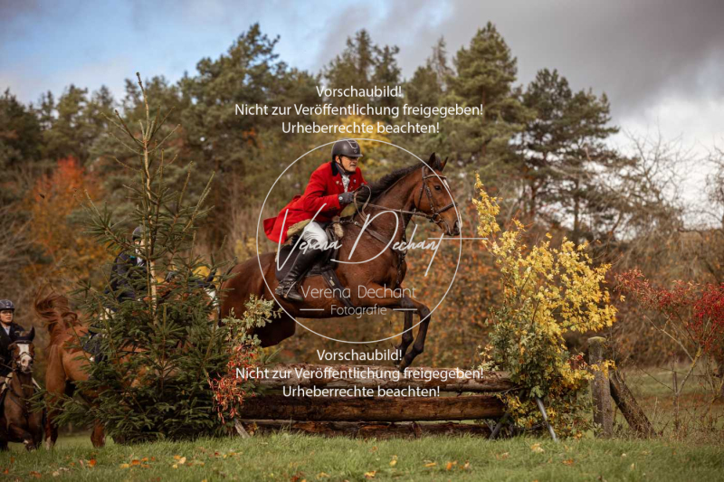 Schleppjagd_Harburg-361