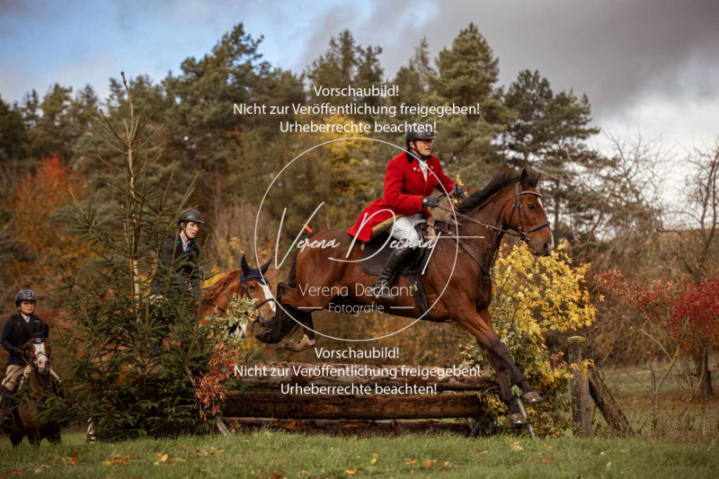 Schleppjagd_Harburg-362