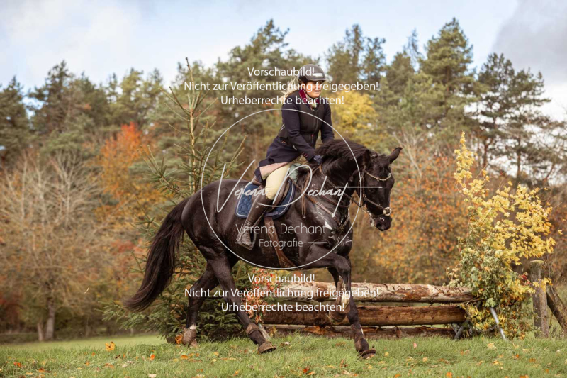 Schleppjagd_Harburg-403