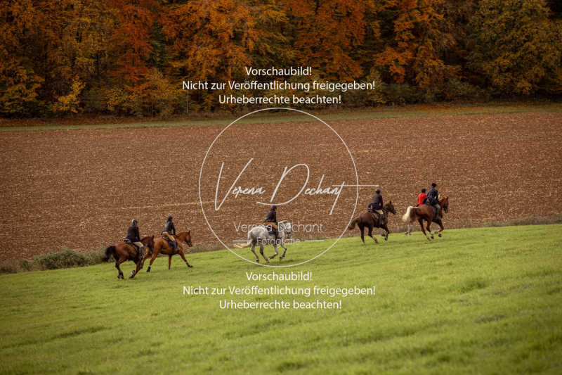 Schleppjagd_Harburg-412