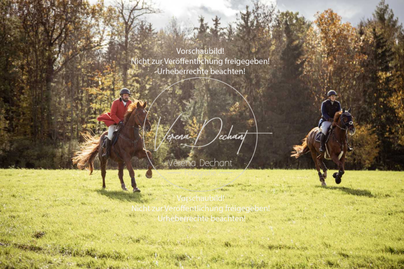 Schleppjagd_Harburg-421