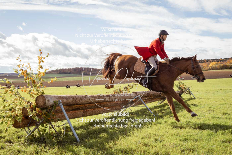 Schleppjagd_Harburg-437