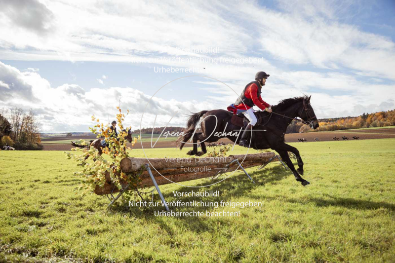 Schleppjagd_Harburg-440