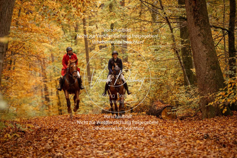 Schleppjagd_Harburg-506