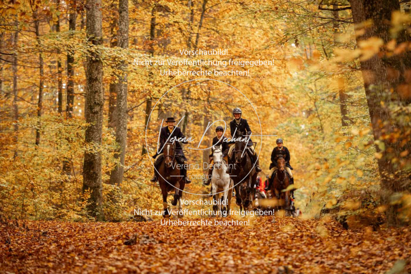 Schleppjagd_Harburg-530