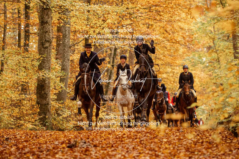 Schleppjagd_Harburg-531