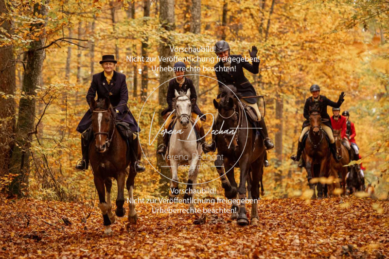 Schleppjagd_Harburg-534