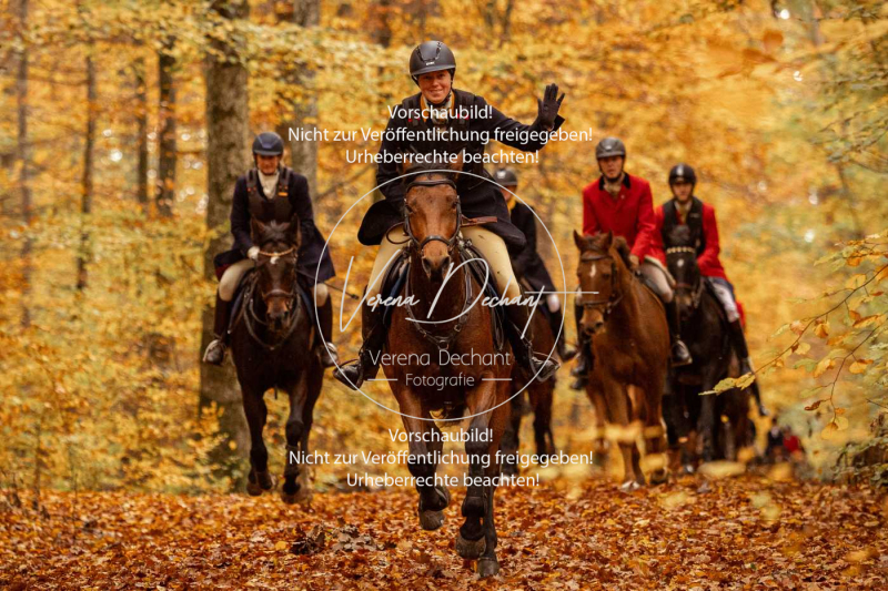 Schleppjagd_Harburg-537