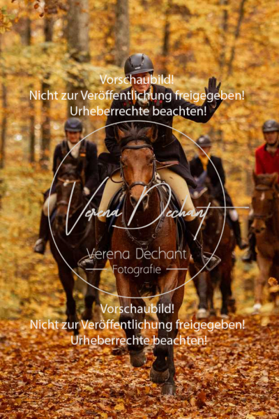 Schleppjagd_Harburg-538