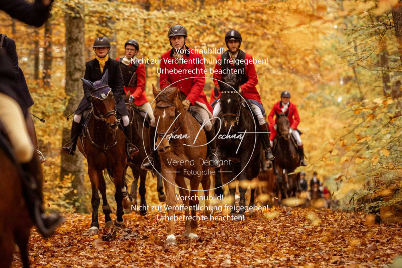 Schleppjagd_Harburg-539