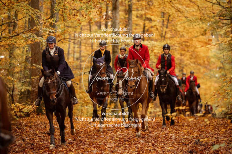 Schleppjagd_Harburg-540