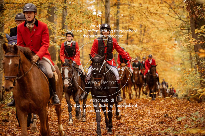 Schleppjagd_Harburg-543