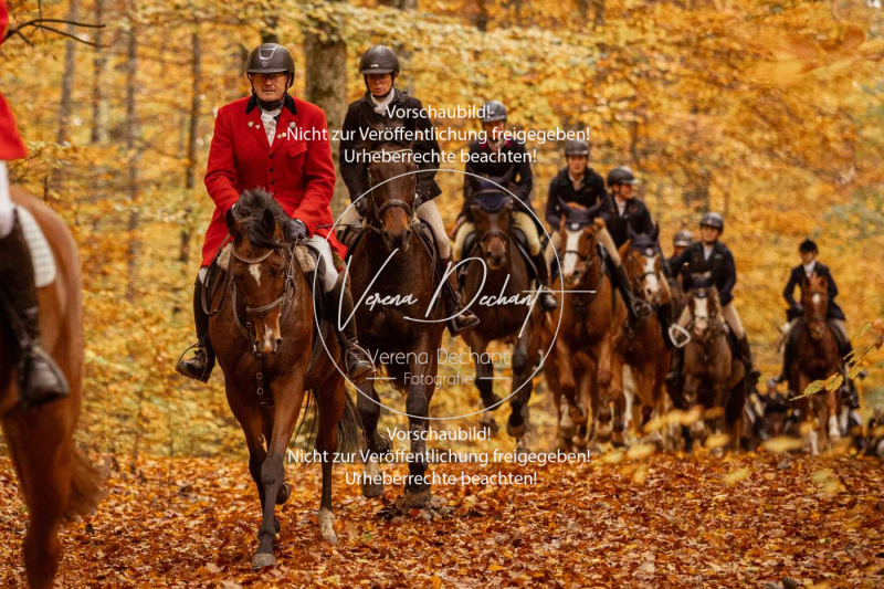 Schleppjagd_Harburg-551