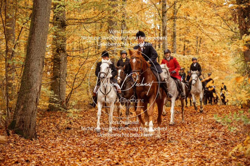 Schleppjagd_Harburg-565