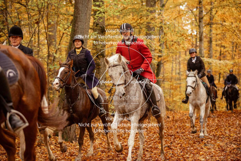 Schleppjagd_Harburg-568