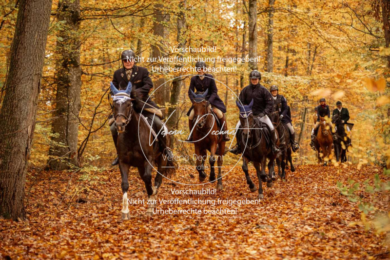 Schleppjagd_Harburg-571