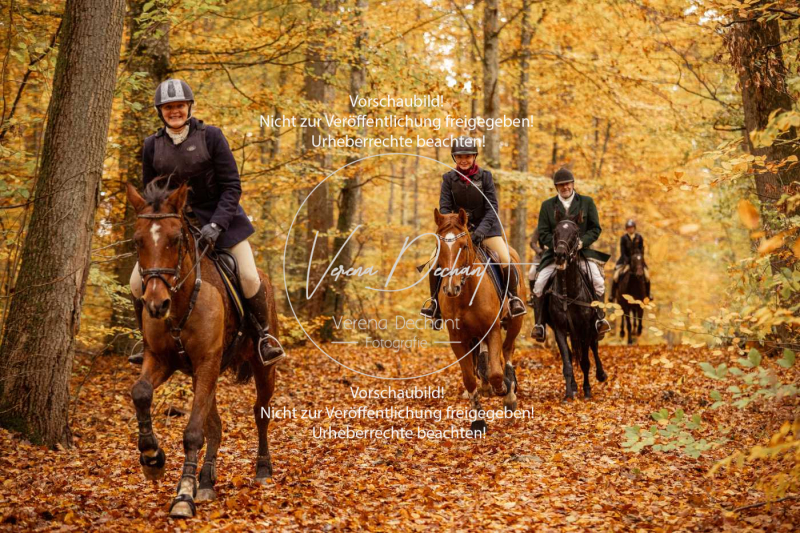 Schleppjagd_Harburg-577