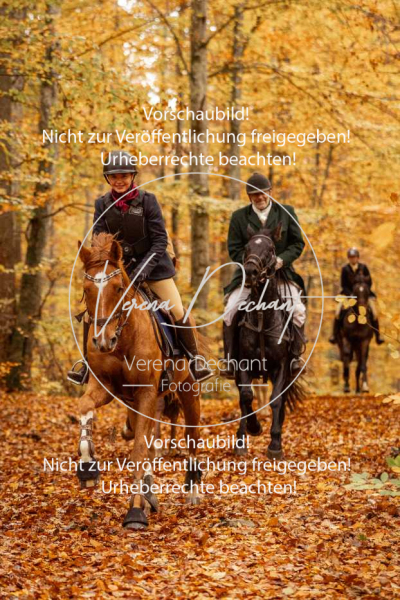 Schleppjagd_Harburg-578