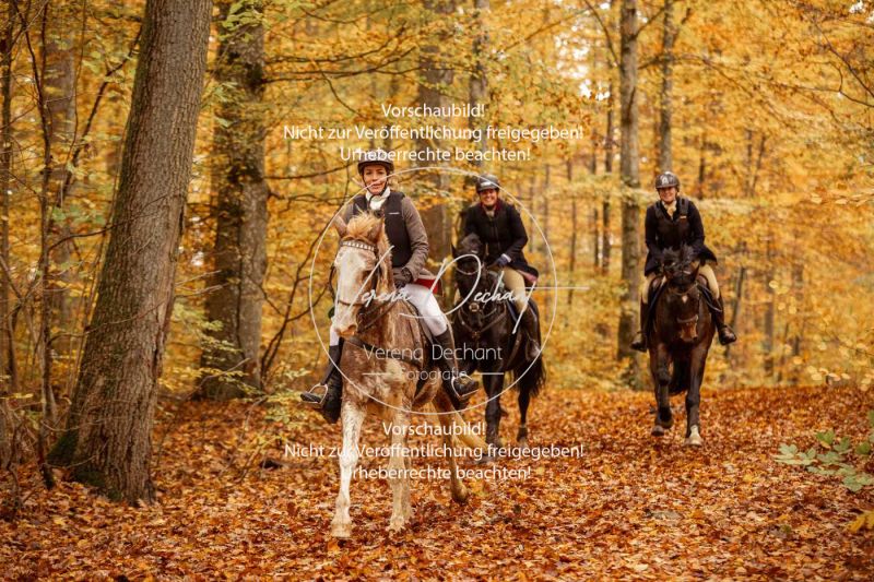 Schleppjagd_Harburg-582