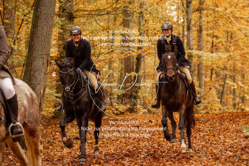 Schleppjagd_Harburg-583