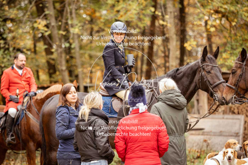 Schleppjagd_Harburg-585