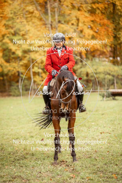 Schleppjagd_Harburg-598