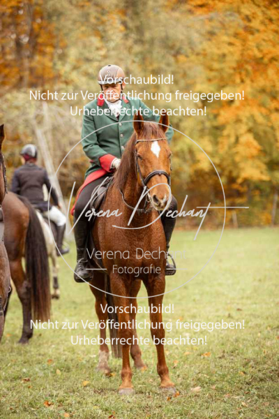 Schleppjagd_Harburg-599