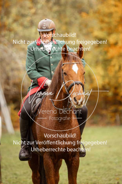 Schleppjagd_Harburg-600