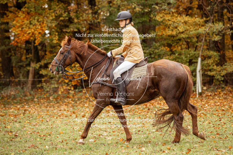 Schleppjagd_Harburg-610