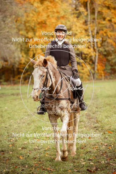 Schleppjagd_Harburg-619